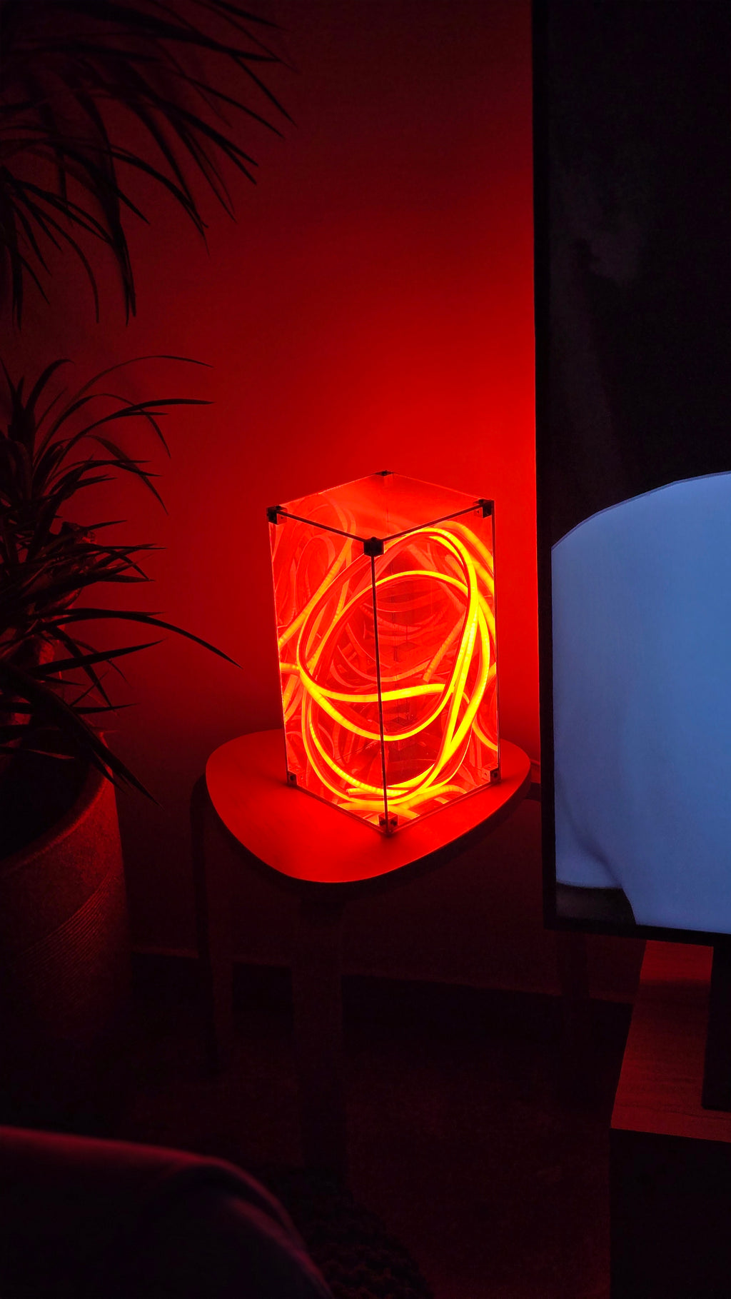 Entangle neon lamp close-up of the tangled neon loop