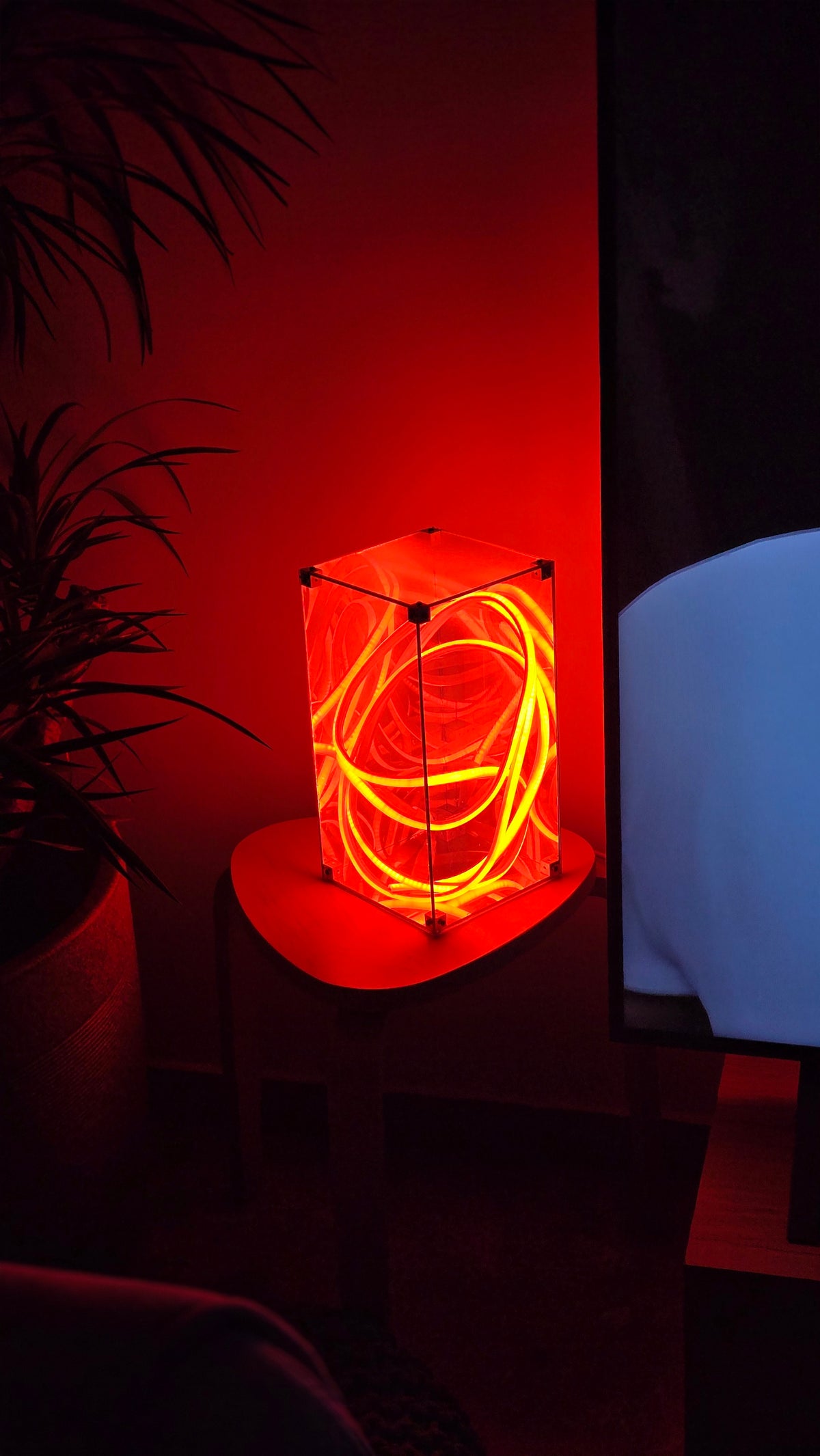 Entangle neon lamp close-up of the tangled neon loop