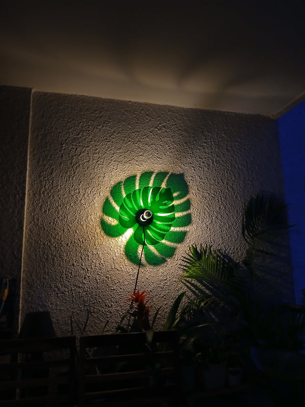 Monstera