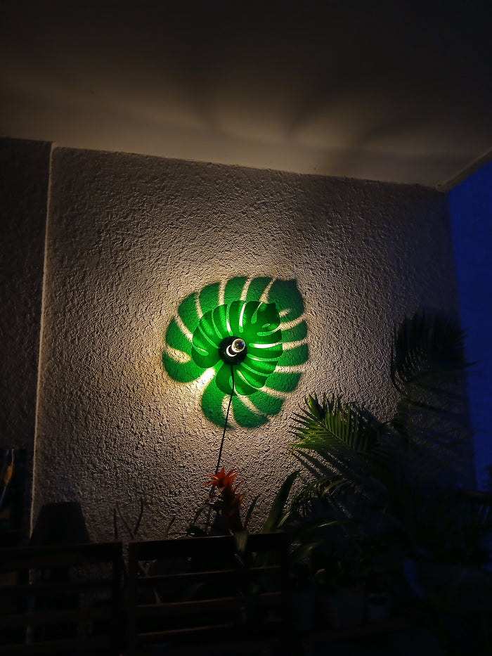 Monstera