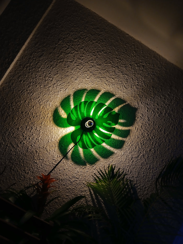 Monstera