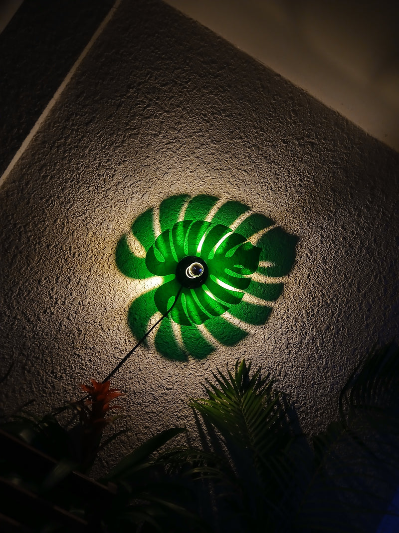 Monstera