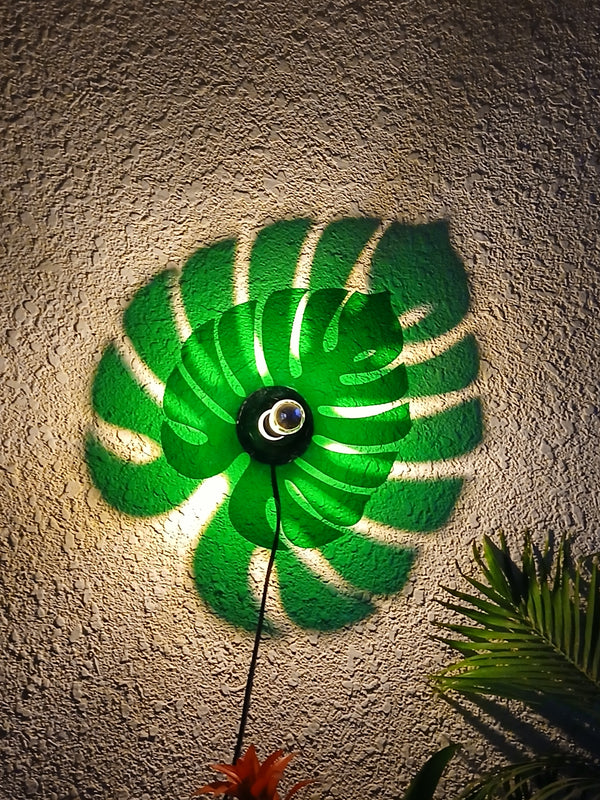 Monstera