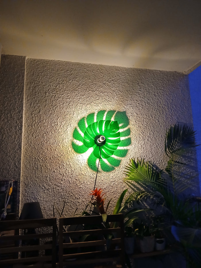Monstera
